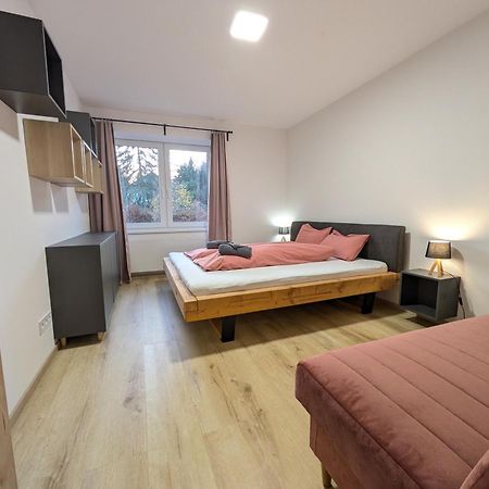 Apartman Stelvio Janske Lazne Exterior photo